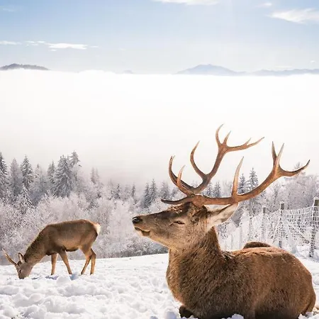 Gipfelhaus Magdalensberg 호텔 상트베이트안데르글란