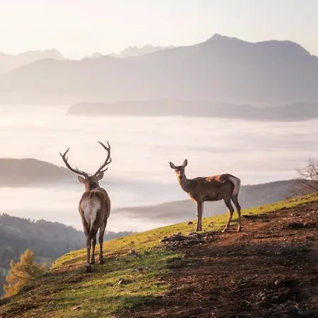 Gipfelhaus Magdalensberg 호텔 상트베이트안데르글란