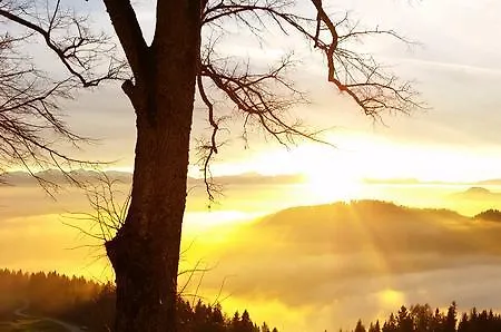 Hotel Gipfelhaus Magdalensberg 4*