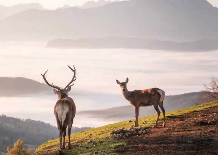 Gipfelhaus Magdalensberg Hotel St. Veit an der Glan